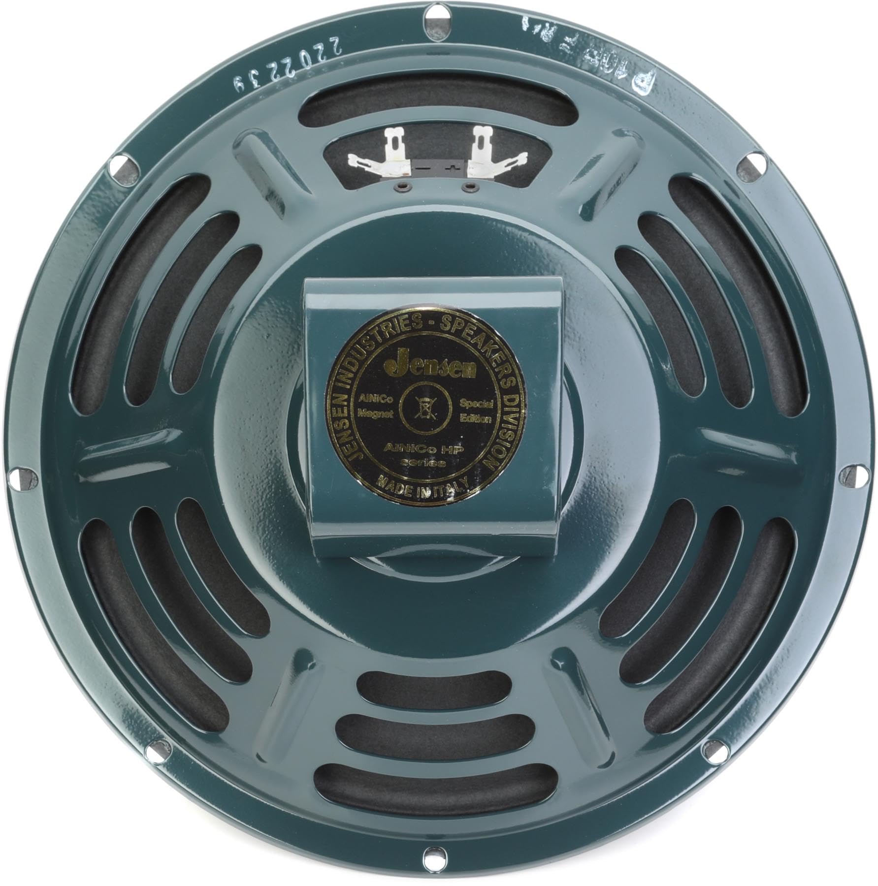 Amazon.com: Jensen P10R-FEN Vintage Alnico 10-inch 25-watt